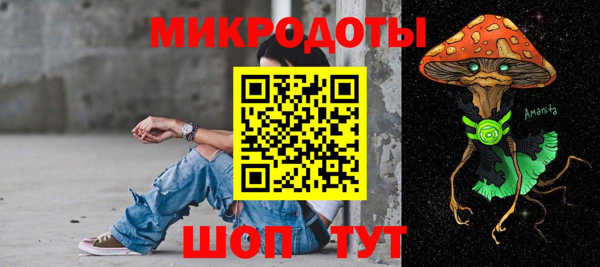 Калининград  Галлюциногенные грибы прущие грибы  Вход с VPN 