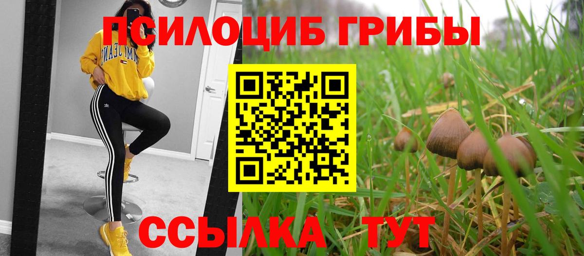 Галлюциногенные грибы GOLDEN TEACHER Калининград