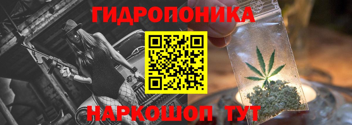 МАРИХУАНА план  Канабис тримм  Шишки марихуана SATIVA & INDICA  Калининград  Шишки марихуана Ganja  Вход с VPN 